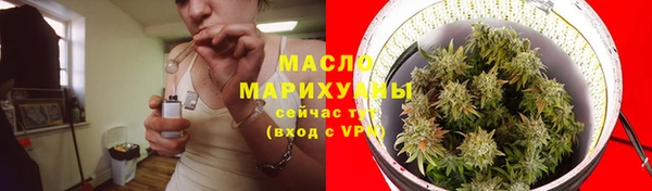 Альфа ПВП Горняк