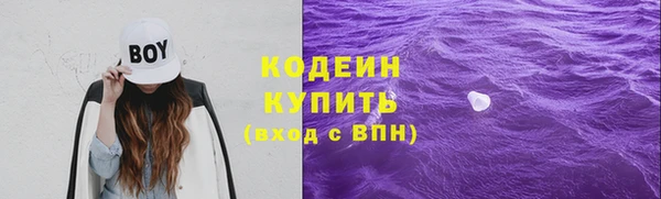 Альфа ПВП Горняк
