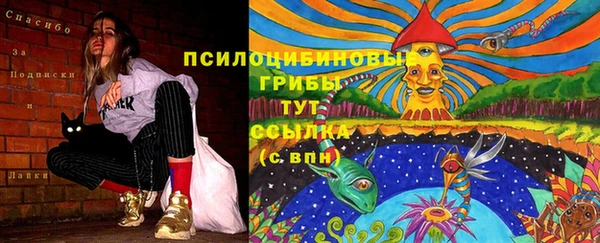 трава Горно-Алтайск