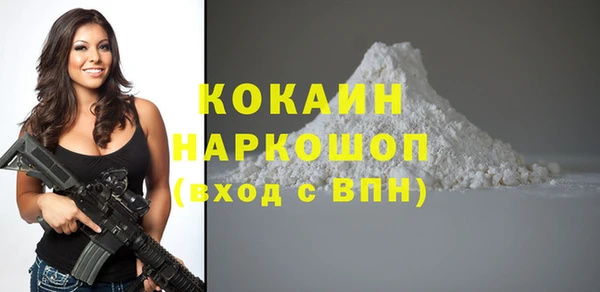 Альфа ПВП Горняк