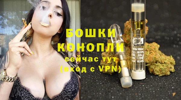 трава Горно-Алтайск