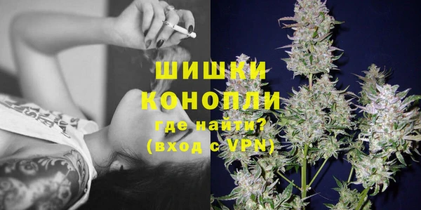 трава Горно-Алтайск