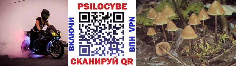 Купить где  Кизляр  Галлюциногенные грибы MAGIC MUSHROOMS 